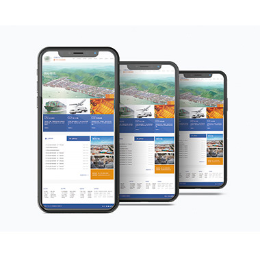 金融服务企业官方网站-迈顺达进出口网站设计